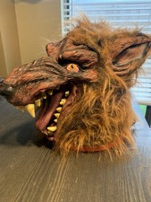 Full 360 head for sale  Dallas