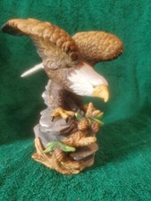 Porcalain american bald for sale  Godfrey