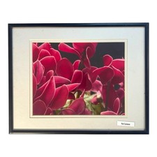 Framed flower photography for sale  Monroe Township