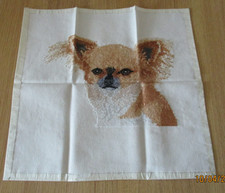 Chihuahua long coat for sale Chihuahua long coat for sale  STOKE-ON-TRENT