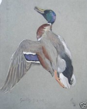 Aquarelle originale andrieux d'occasion  Perpignan-