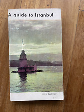 Guida istanbul guide usato  Milano