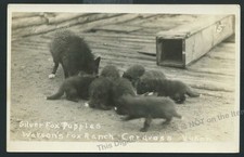 Vtg rppc silver for sale  Clinton