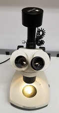 Microscopio stereo digitale usato  Spedire a Italy