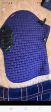 Mieux blueberry set for sale  LASSWADE