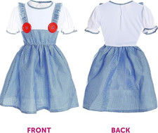 Ladies dorothy costume for sale  BRADFORD