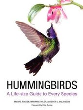 Hummingbirds life size for sale  Montgomery