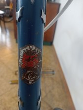 Leo chlorodont bici usato  Cuneo