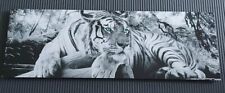 Wandbild tiger 90cm gebraucht kaufen  Hagen