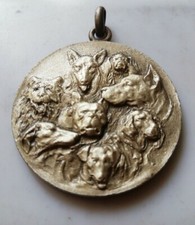 Medaglia esposizione nazionale usato Medaglia esposizione nazionale usato  Saronno