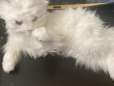 Furreal friends lulu for sale  Mc Lean