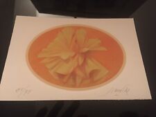 Guccione usato Guccione usato  Modica