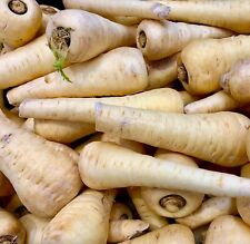 Parsnip gladiator 400x for sale  DEWSBURY