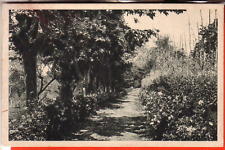 Cartolina livorno citta usato  Montegranaro