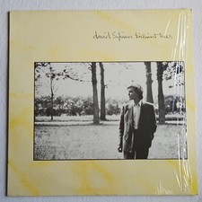 David sylvian brilliant usato  Pieve di Cento