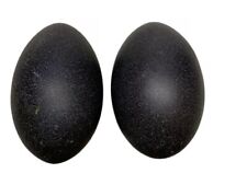 Emu eggs blown for sale  Norco