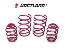 Molle assetto vogtland usato  Italia