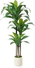 Artificial dracaena plant for sale  SALFORD