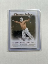 Wwe karten lot gebraucht kaufen  Mayen-Umland