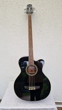 Takamine serie jumbobass gebraucht kaufen  Bottrop