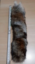 Fuchsschwanz fuchs schwanz gebraucht kaufen  Hallgarten