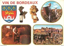 Vignes vin bordeaux d'occasion  Fruges