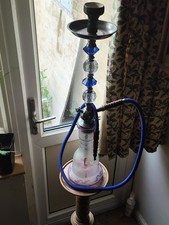 Tall premium arabic for sale Tall premium arabic for sale  HATFIELD