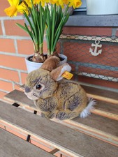 Steiff hase gebraucht kaufen  Kiel