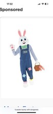 Bunny costume for sale  ACCRINGTON