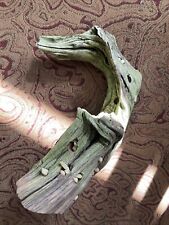 Small manzanita stump for sale  Fair Lawn