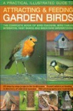 Practical illustrated guide gebraucht kaufen  Berlin
