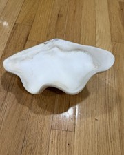Large clam shell for sale  Vienna