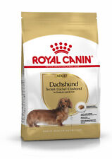 Royal canin dachshund for sale  HULL