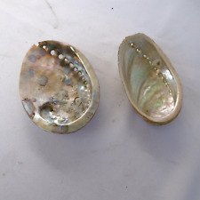 Coquillages nacrés abalone d'occasion  Vif