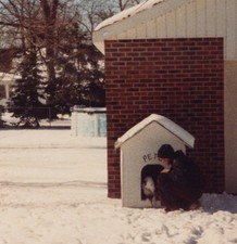1970s man doghouse for sale  Mission