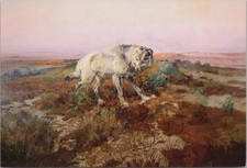 Russell painting lone for sale  Suwanee