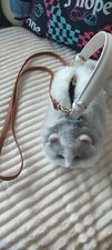 katze fell gebraucht kaufen katze fell gebraucht kaufen Hamburg