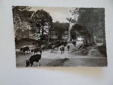 buntenbock harz gebraucht kaufen buntenbock harz gebraucht kaufen Neu-Ulm