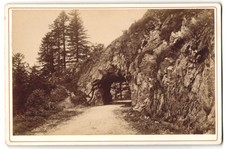 Photo ad. braun d'occasion  Expédié en France