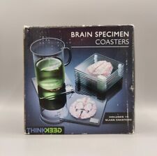 Thinkgeek anatomic brain for sale  Clearwater