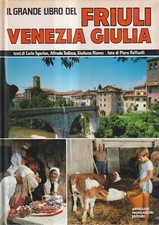 Grande libro del usato  Bastia Umbra