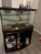 Huge fish aquarium for sale  Reynoldsburg