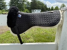 Mattes dressage half for sale  Drexel Hill