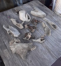 Treibholz schwemmholz cm gebraucht kaufen  Hilden