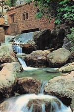 Maroc xauen ras d'occasion Maroc xauen ras d'occasion  France