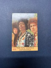 The jimi hendrix usato  Piossasco