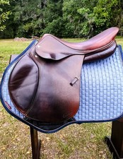 Amerigo jump event for sale  Citra