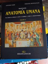 Trattato anatomia umana usato  Torino