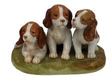 Brittany pups forever for sale  North Aurora