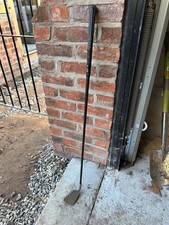 ping zing for sale ping zing for sale  TARPORLEY